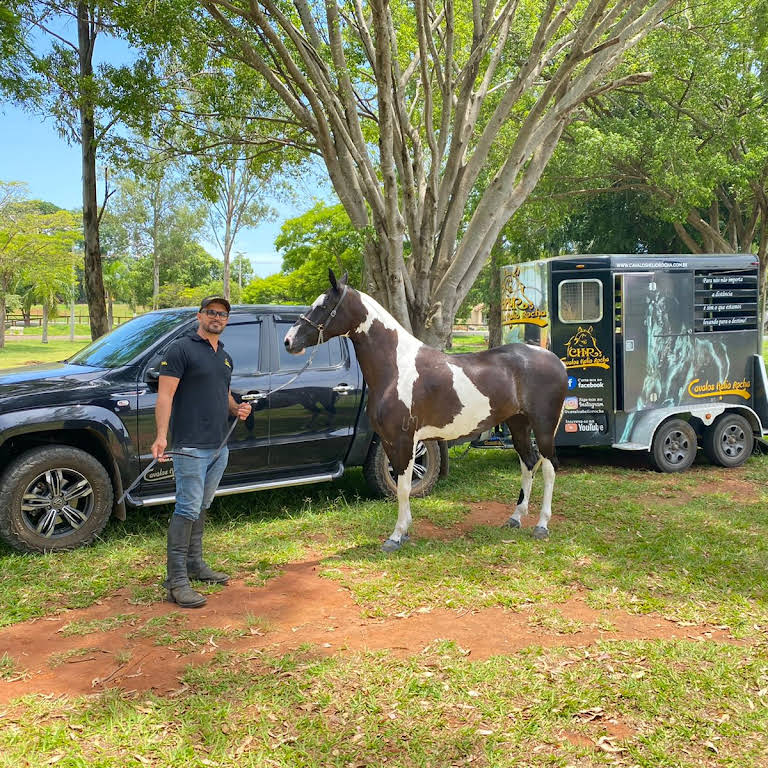 VENDIDO))) REGALO ZCM – Cavalos Helio Rocha