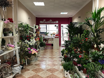 Floristería FloriPlant - Lopera, Jaén