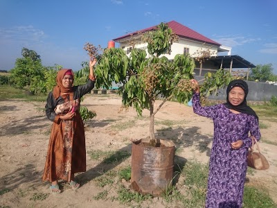Photos of Kebun Lengkeng Takalar