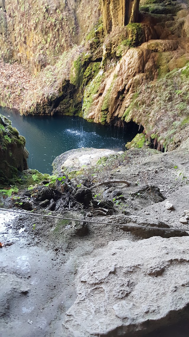 Westcave Outdoor Discovery Center