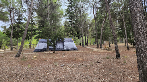 Zona de acampada Tollo Pillete Gallery - Spain