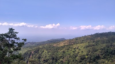 Photos of Mahagoni Grand Park