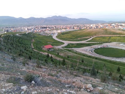 Photos of پارک رضوان