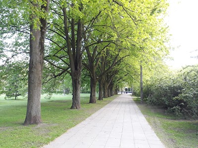 Photos of V&auml;ike Kuuba Mojito Bar