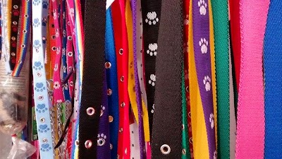 Photos of Veterinaria Pixies