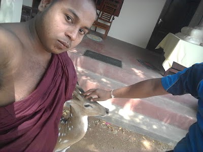 Photos of ශාන්තිපුර රජ මහා විහාරස්ථ වන සෙනසුන