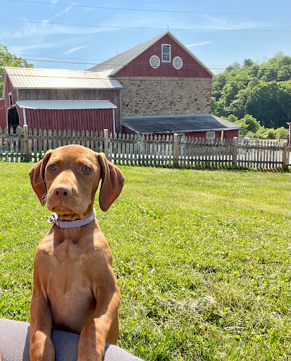 Ironstone Creek Farm - Thumbnail