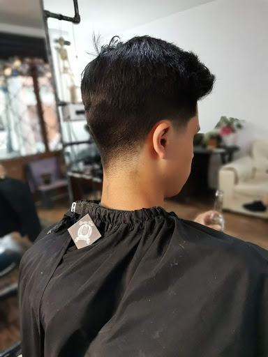 BULLY TRAP Urban Cut Tradi