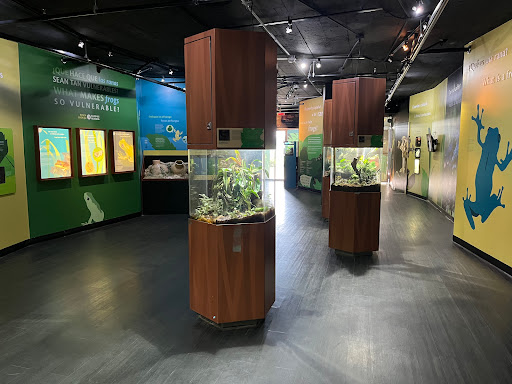 Punta Culebra Nature Center Gallery - United States