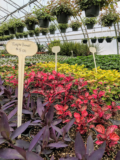 Spider Web Gardens - Thumbnail