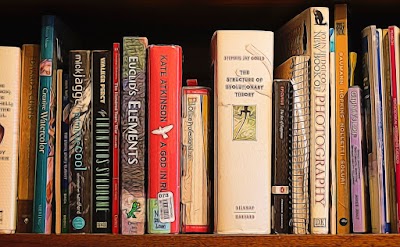 book-store