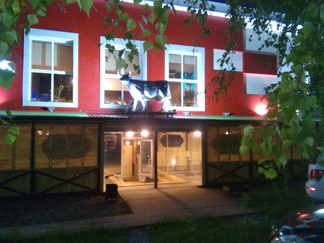 Moloko bar