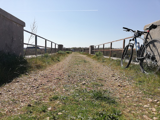 Bosco di Ruvo "Scoparella" - Thumbnail