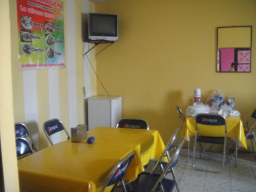 site_photo3