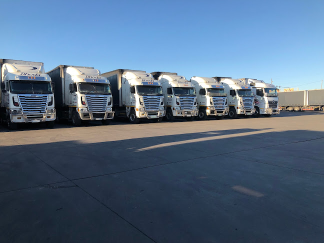 Dhoda Carriers Pty Ltd - Pietermaritzburg