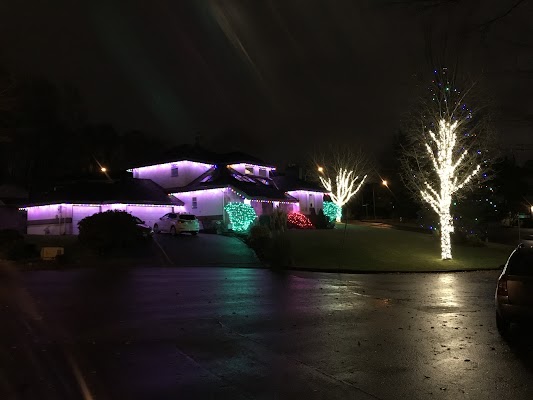 christmas light installers burnaby