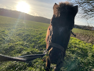 Photo n°16 de Ferme du Moulin de bois à Farbus (Gîte)
