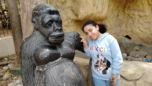 Giza Zoo Gallery - United States