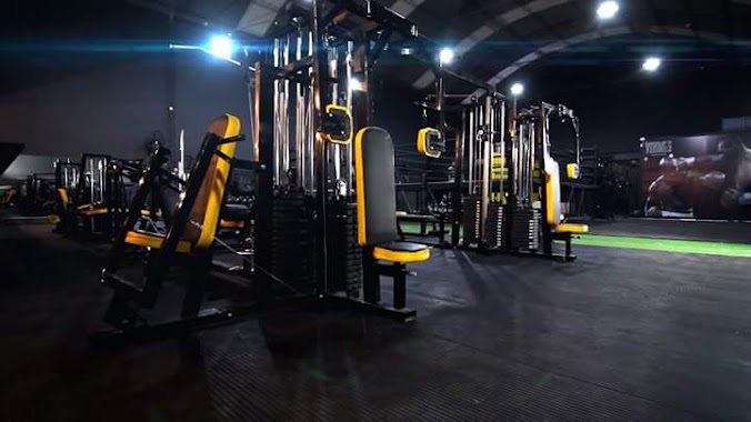 Viking's Gym & Box, Author: Fernando Martino