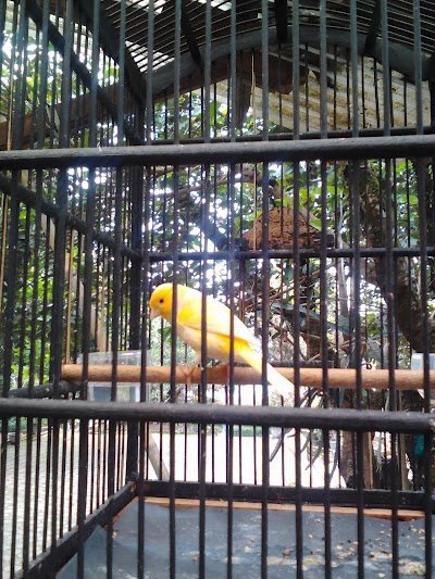Photos of Resto Dapur Kampung Daun