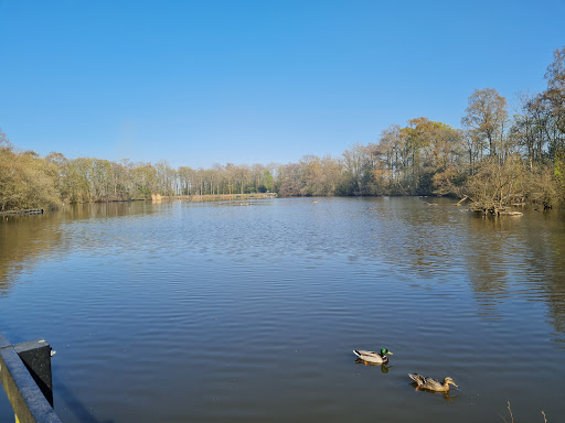 Fradley pool - Visual