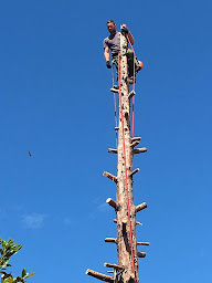 Photo n°19 de Espace Vert GES à Fuveau (Service d'élagage)