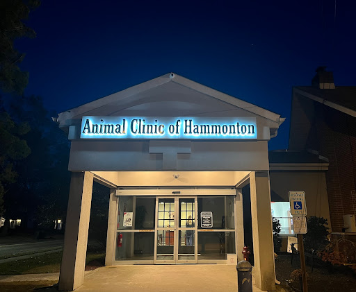 Animal Clinic of Hammonton - Thumbnail