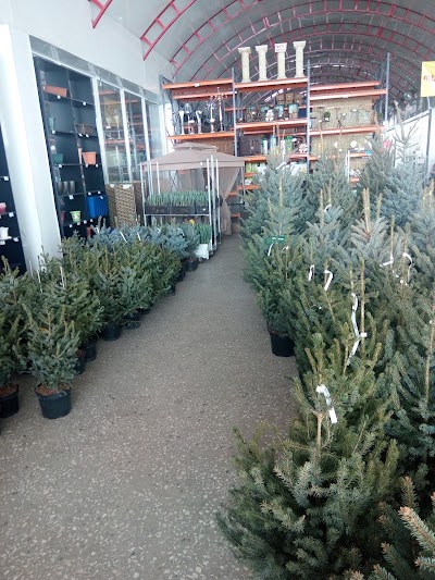 Photos of ABIO Garden Center