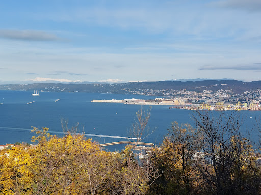 Roberta Guida Turistica Trieste - Thumbnail