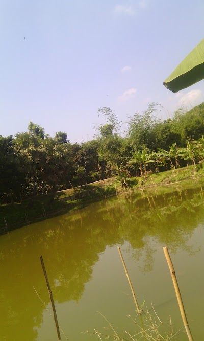 Photos of শিমের গোপাট