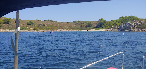 Ocimar Menorca - Thumbnail