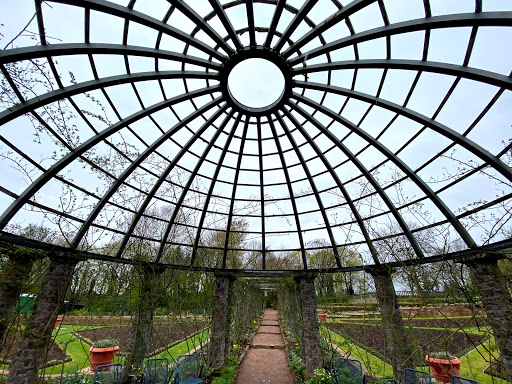Rosendom - Visual