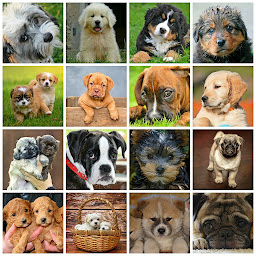 Photo n°14 de Cani Star à Thouaré-sur-Loire (Magasin d'articles pour animaux)