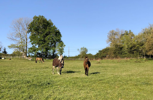 Photo de Domaine des Poirier à Tabanac (33550)