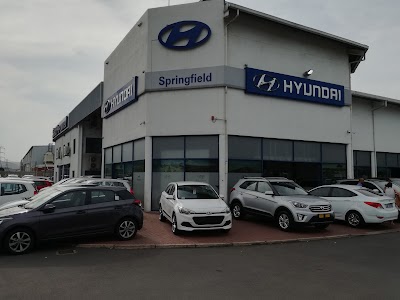 Photos of Hyundai Springfield Park