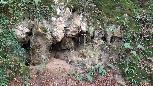Grottes préhistoriques du Pouy