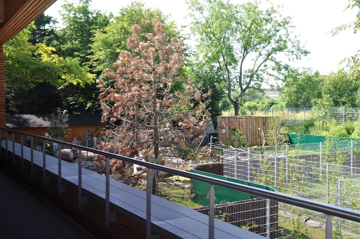 DJH Hostel Heidelberg International by null