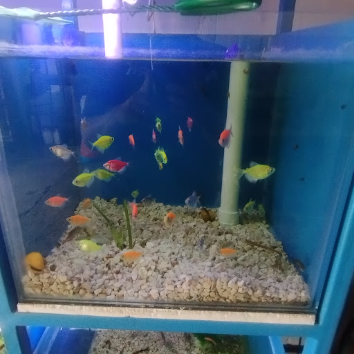 Veterinaría "La Granja"