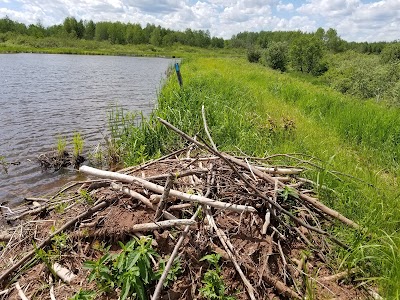 Gordon McQuarrie Wetlands