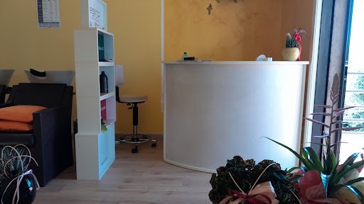 Io Intrigo - Visual