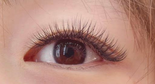 Beyond beauty- eyelash studio - Thumbnail