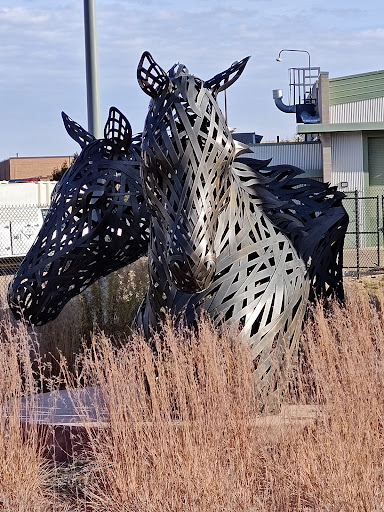 Johnson Family Equine Hospital
