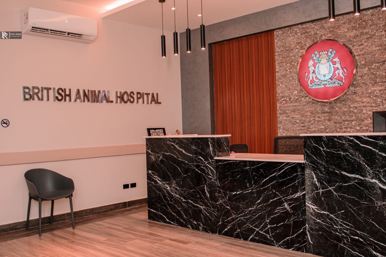 مستشفى الحيوان البريطاني - زايد - صورة 3