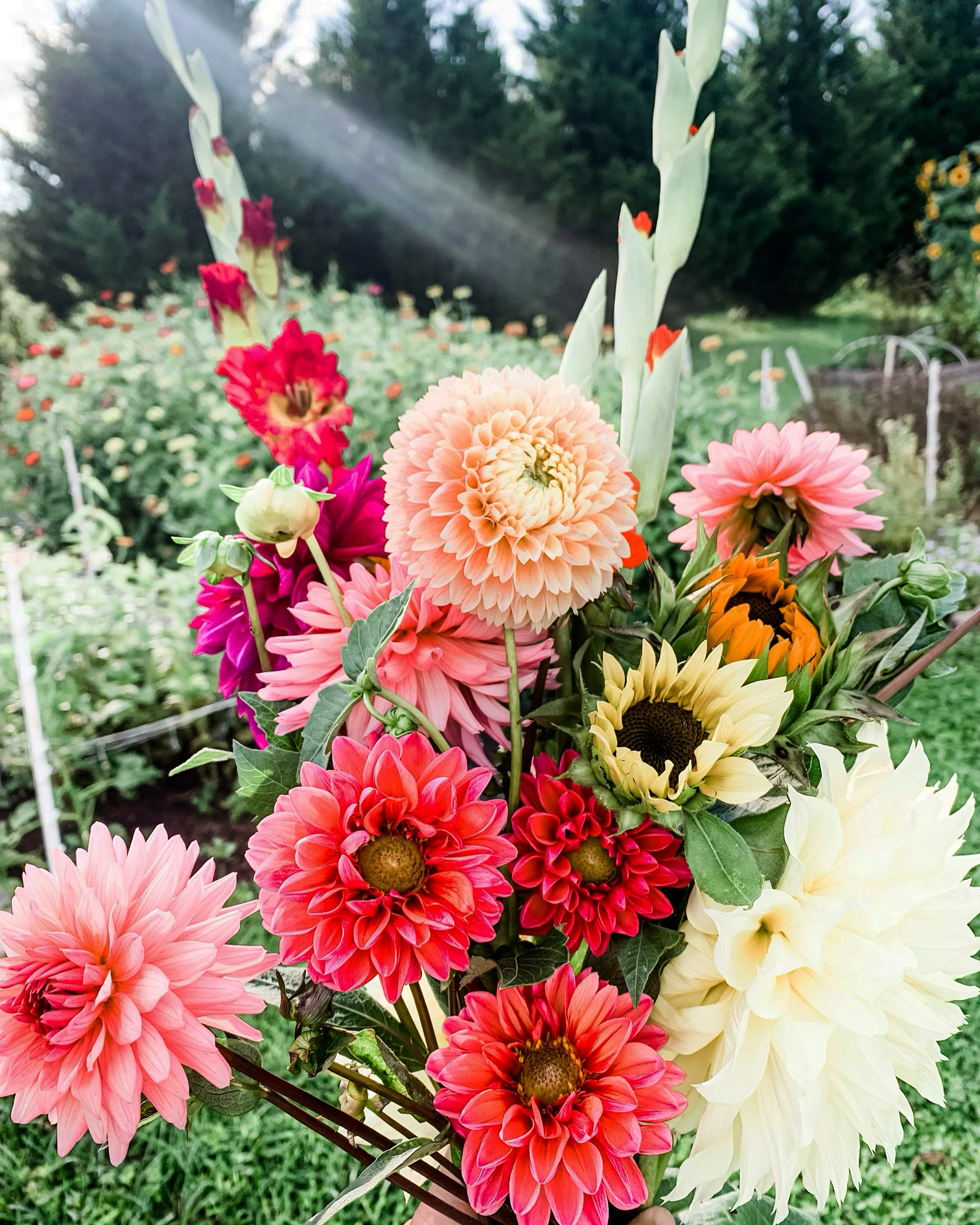 The Nested Garden