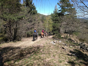 Photo n°15 de ferme équestre des mourenes à Saint-André-de-Lancize (Centre équestre)