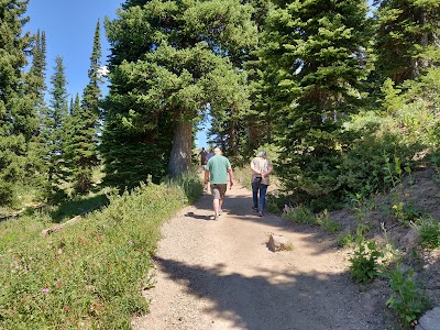 Bloomington Lake Parking