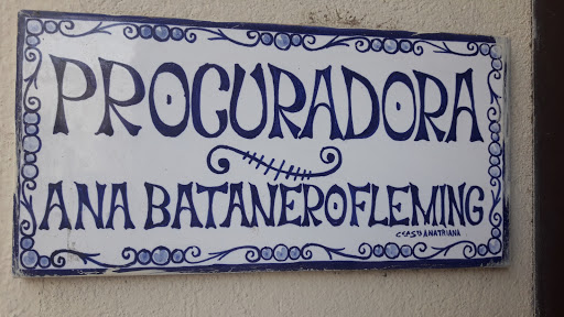 PROCURADOR VALVERDE DEL CAMINO - ANA MARIA BATANERO FLEMING