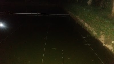 Photos of Pemancingan Pak Jumbadi