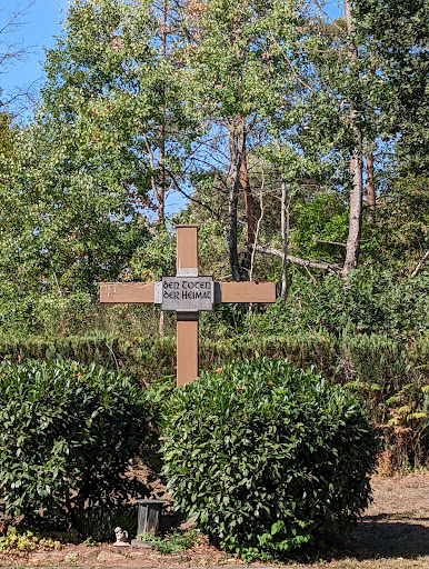 Friedhof Grube Messel - Thumbnail