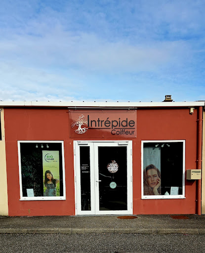 INTRÉPIDE - Visual